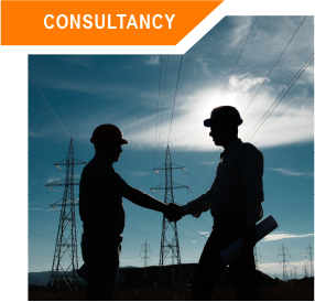 Consultancy